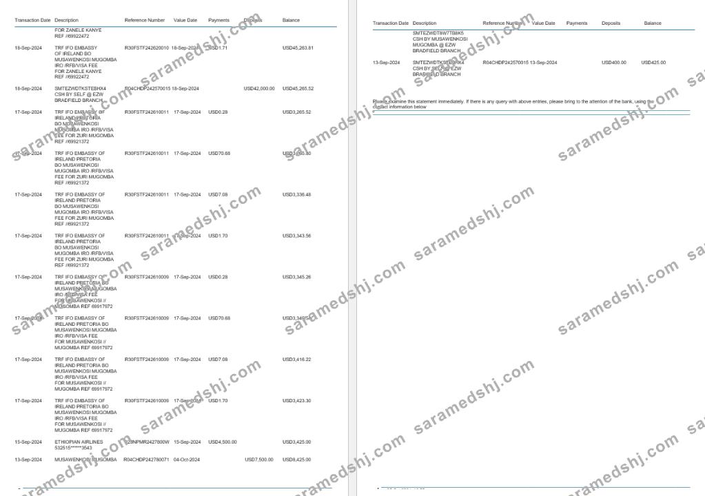 Zimbabwe Ecobank bank statement, 4 pages 2